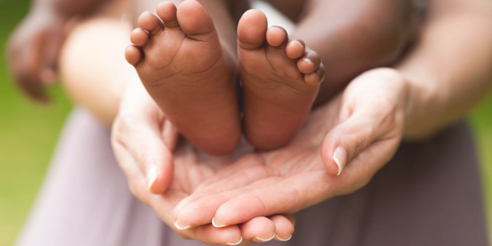 Adoção: Guia Passo a Passo