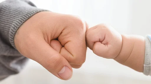 Pensão Alimentícia Guia Completo, Direitos, Cálculo, Revisão e Novas Regras